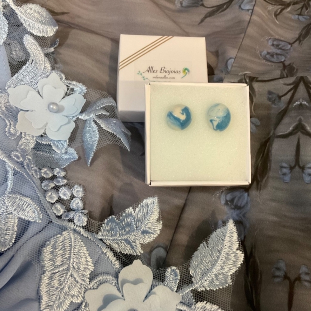 Blue and White Earrings